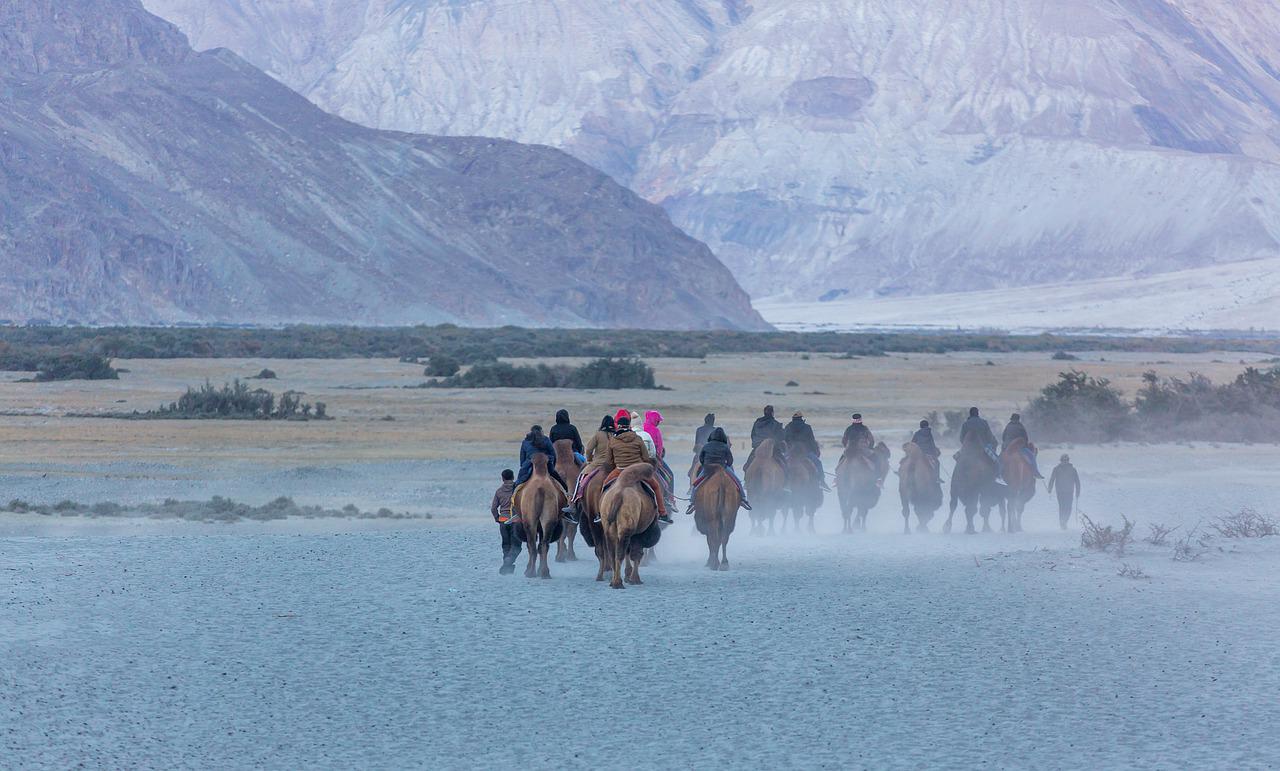 Camel Ride in Kashmir