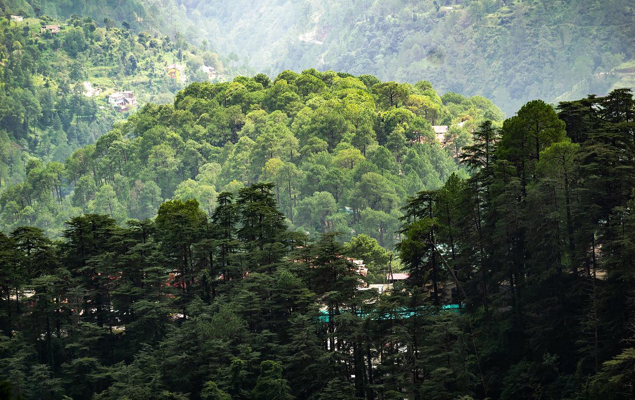 Mountains of Shimla